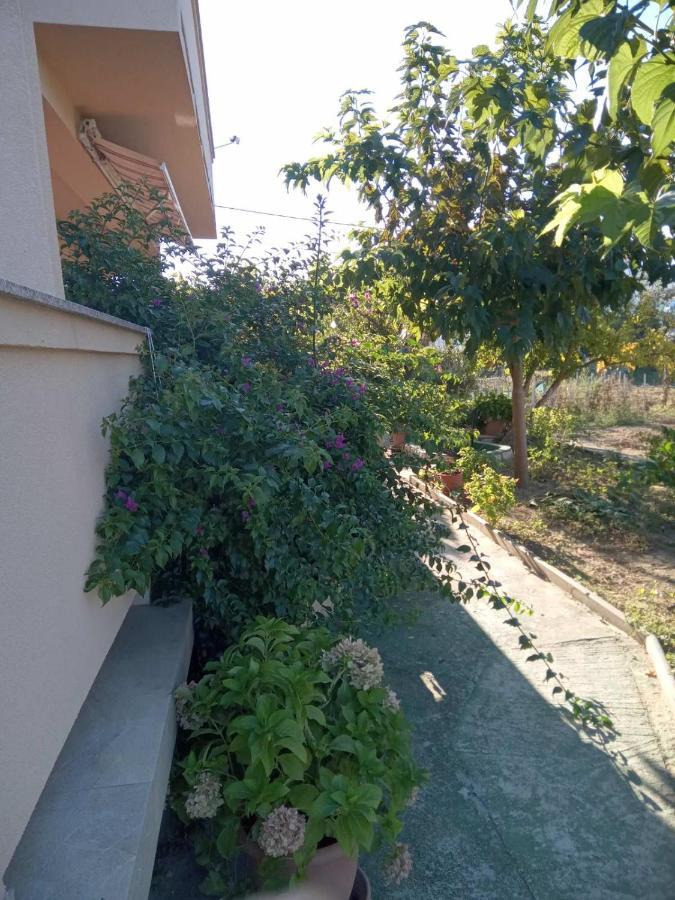 Apartmani Danijela Lopar Esterno foto